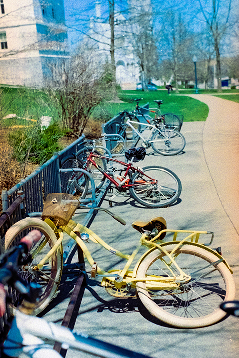 Steel grid-style bike rack installed along a landscaped pathway, providing organized and space-efficient bicycle parking for campuses and parks.